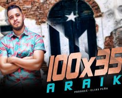 100X35 Araik